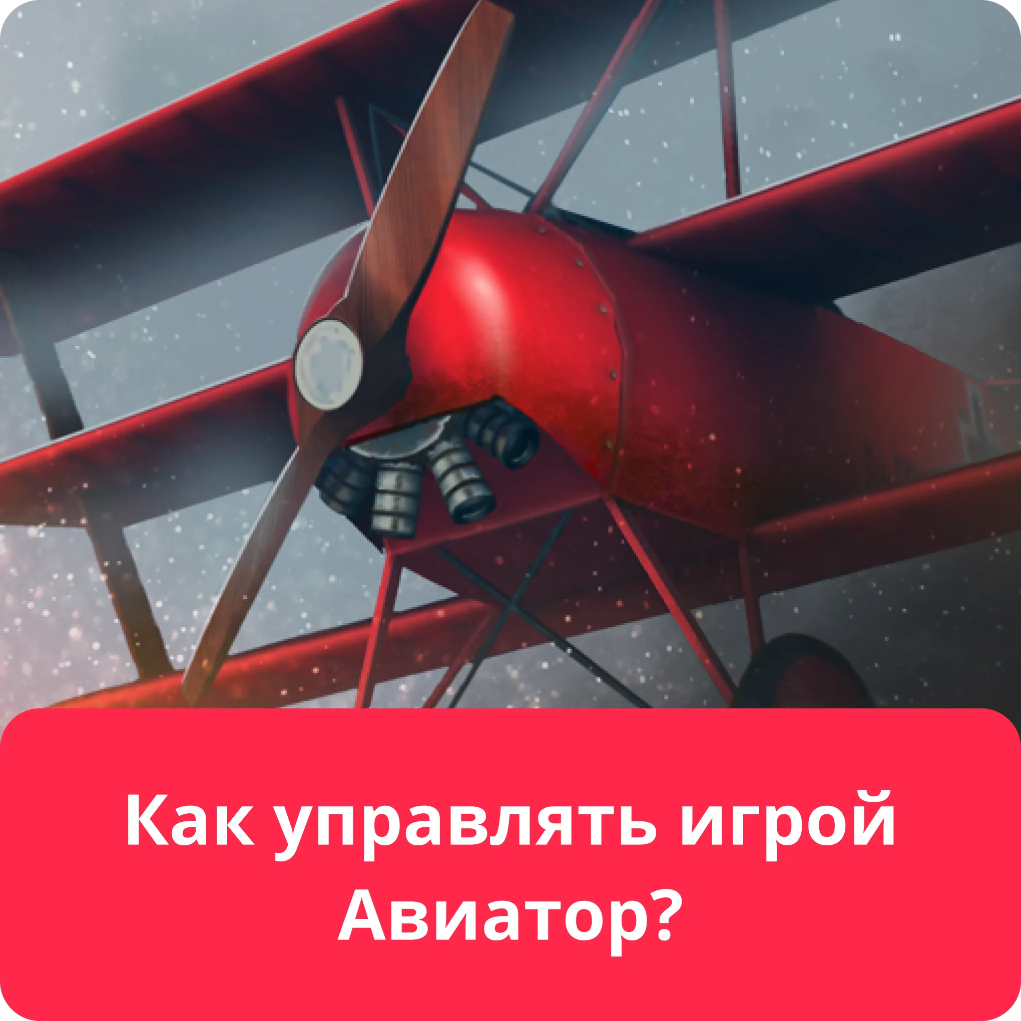 aviator